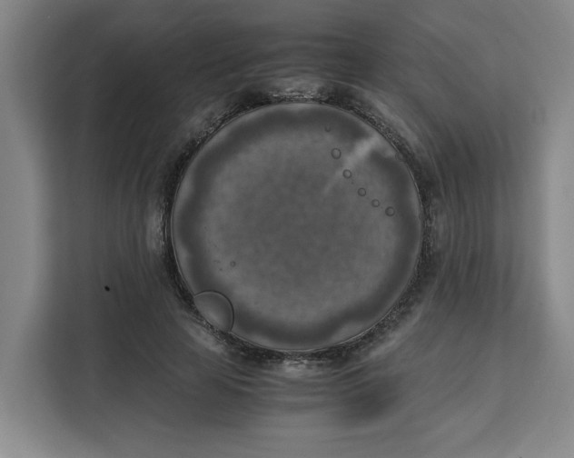 X0000111150641200907141342