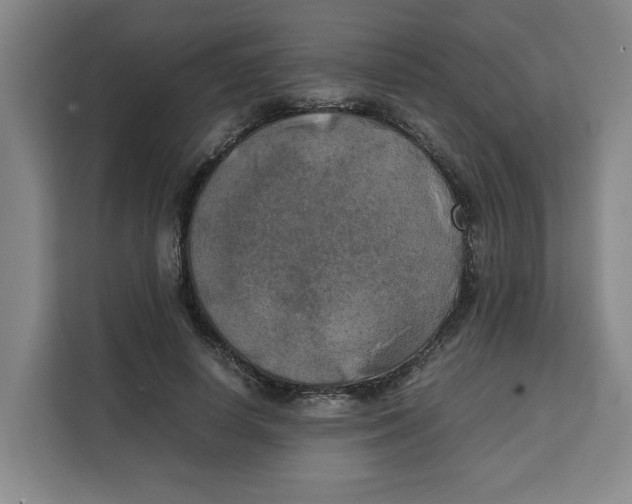 X0000111150642200907141342