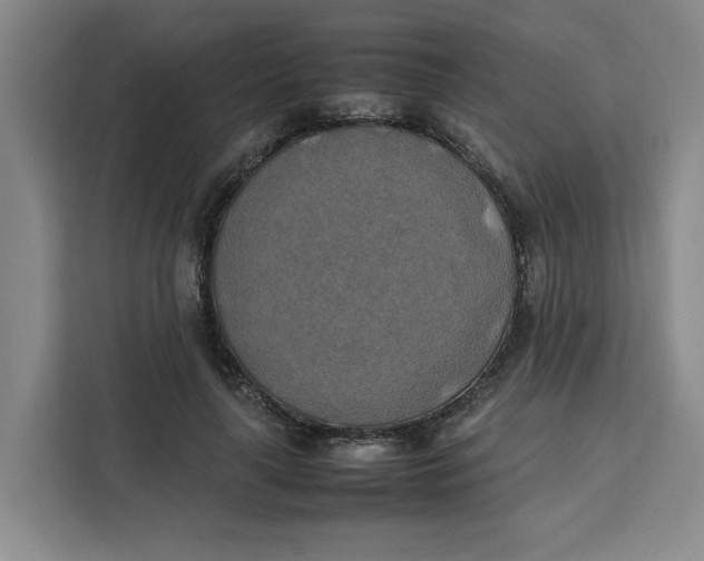 X0000111150643200907141342