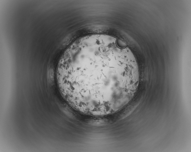 X0000111150646200907141342