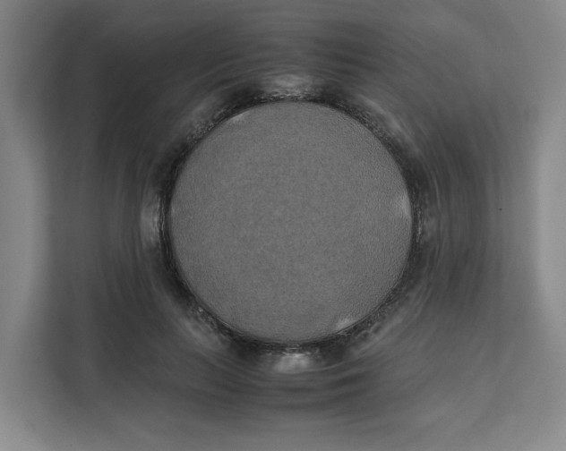 X0000111150647200907141342