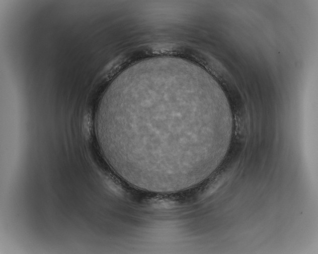 X0000111150648200907141342