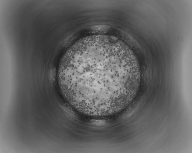 X0000111150649200907141342
