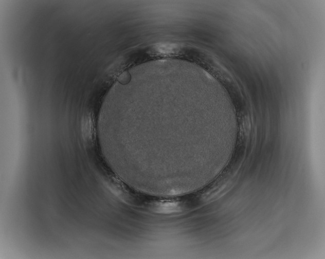 X0000111150651200907141342