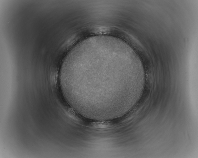 X0000111150652200907141342