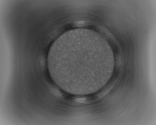 X0000111150653200907141342