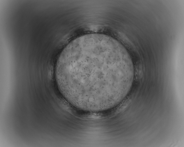 X0000111150656200907141342