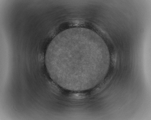 X0000111150657200907141342