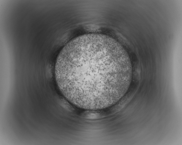 X0000111150658200907141342