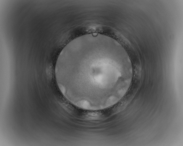 X0000111150659200907141342