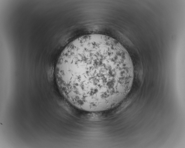 X0000111150660200907141342