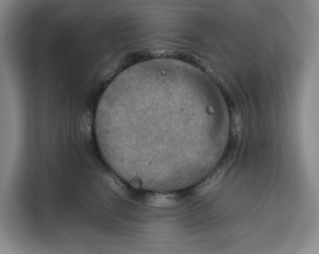 X0000111150664200907141342