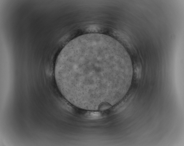 X0000111150665200907141342