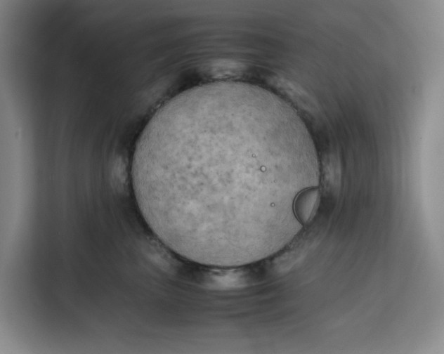 X0000111150667200907141342