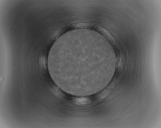 X0000111150669200907141342