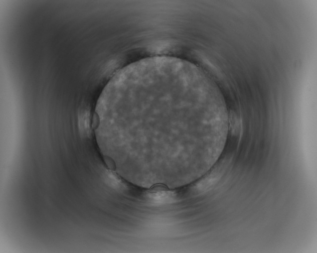 X0000111150670200907141342