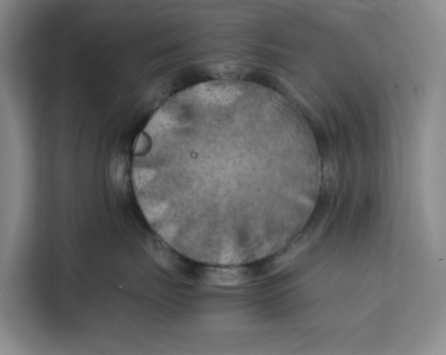 X0000111150671200907141342