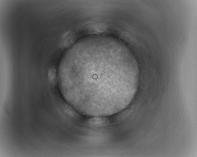 X0000111150672200907141342