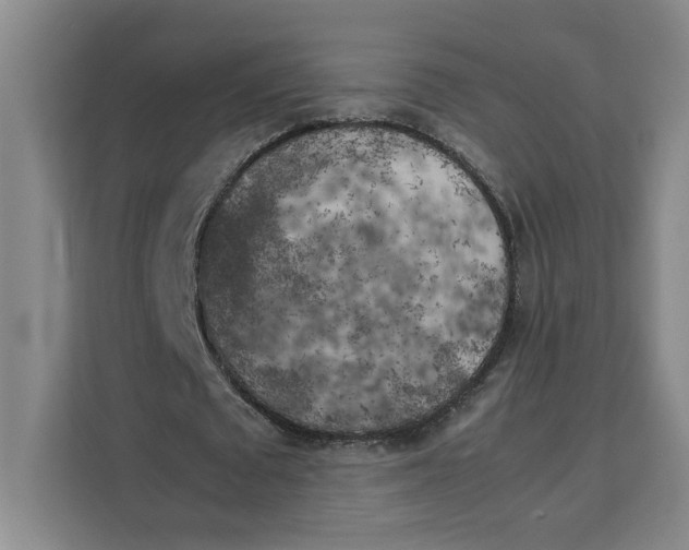 X0000111150673200907141342