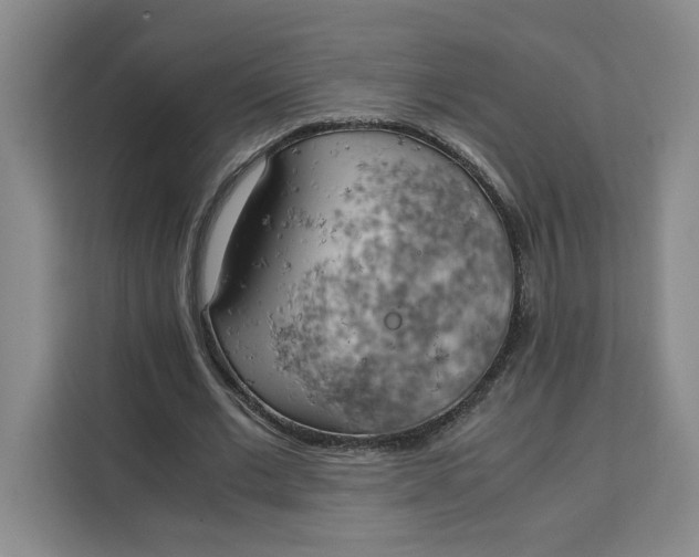 X0000111150677200907141342