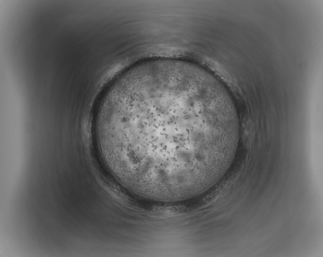 X0000111150679200907141342