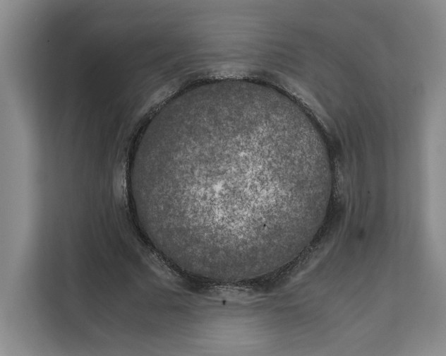 X0000111150681200907141342