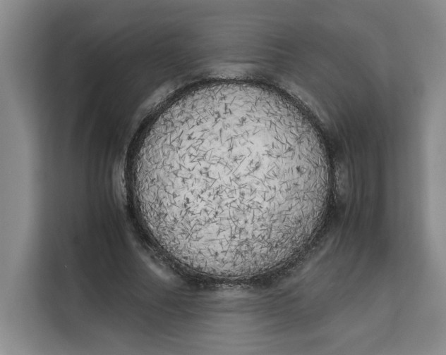 X0000111150682200907141342