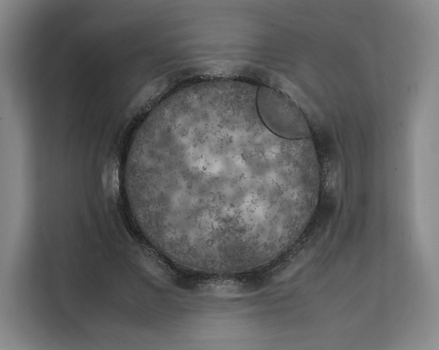 X0000111150685200907141342