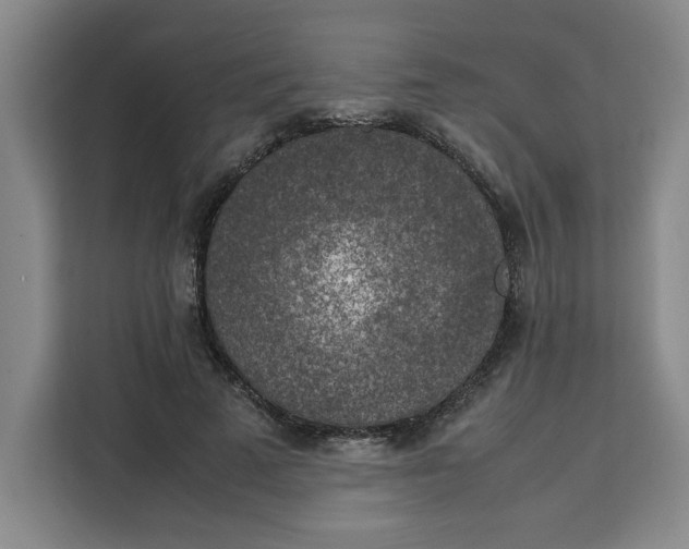 X0000111150689200907141342