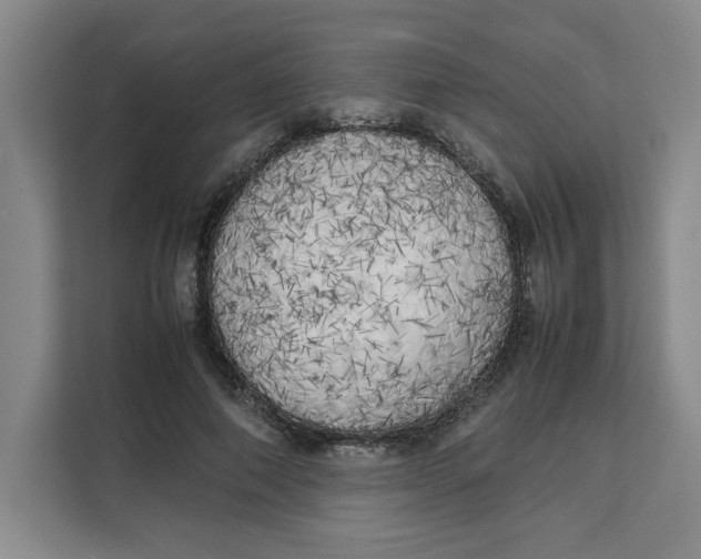 X0000111150690200907141342