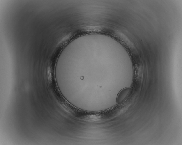 X0000111150692200907141342