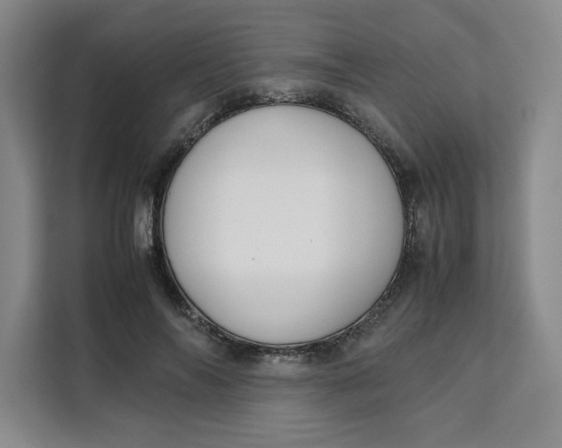 X0000111150694200907141342