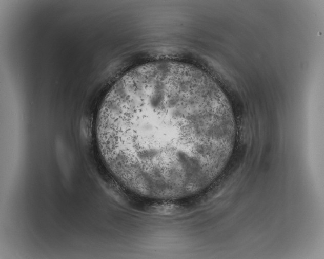 X0000111150695200907141342