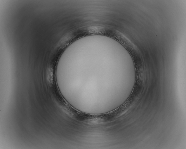 X0000111150696200907141342