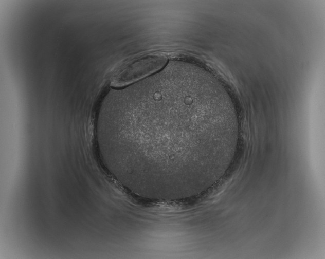 X0000111150697200907141342