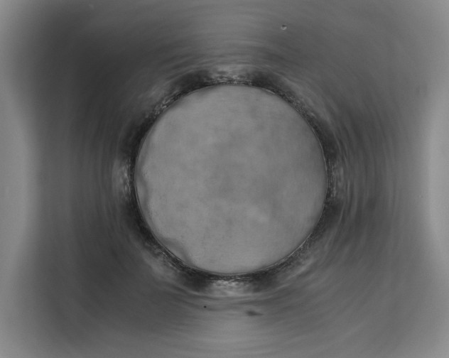 X0000111150699200907141341