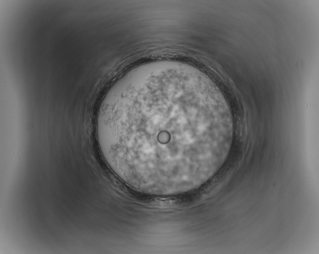 X0000111150701200907141341