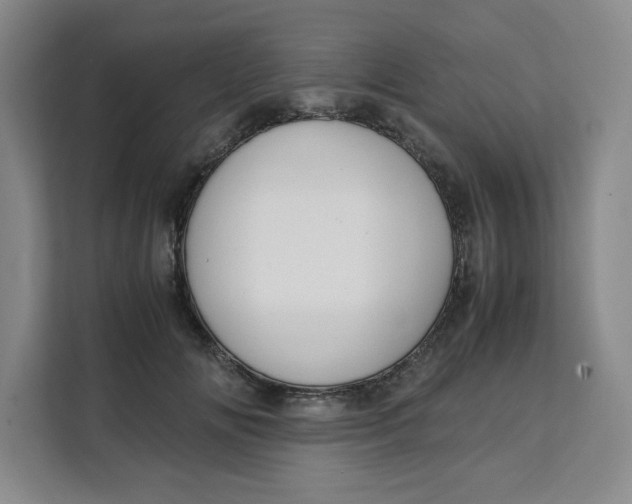 X0000111150702200907141341
