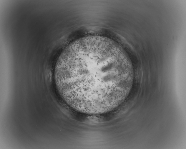X0000111150703200907141341