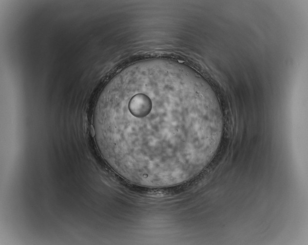 X0000111150704200907141341
