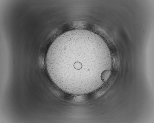 X0000111150705200907141341