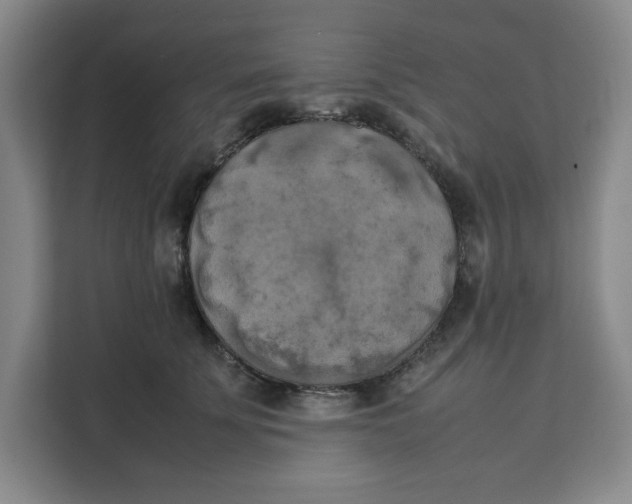 X0000111150707200907141341