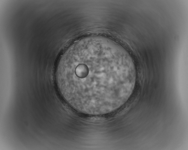 X0000111150708200907141341