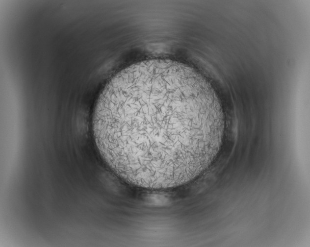 X0000111150710200907141341