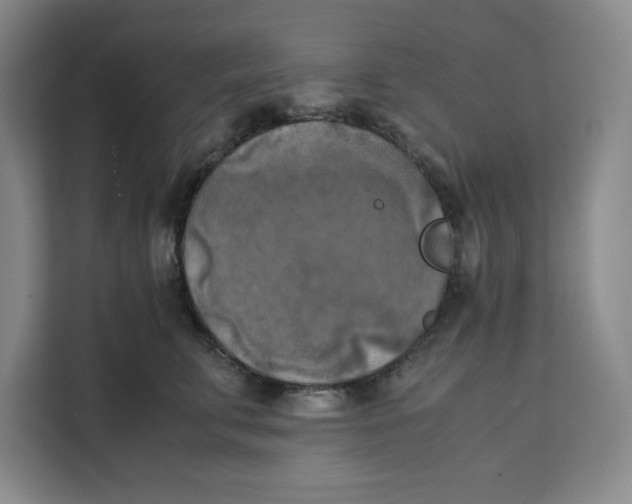 X0000111150711200907141341