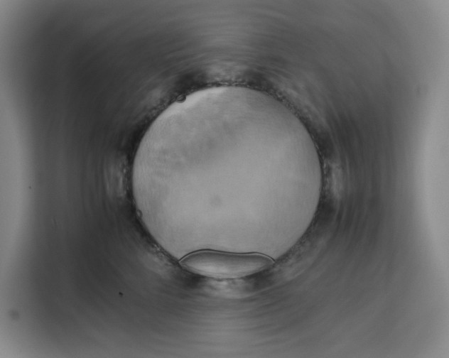 X0000111150712200907141341
