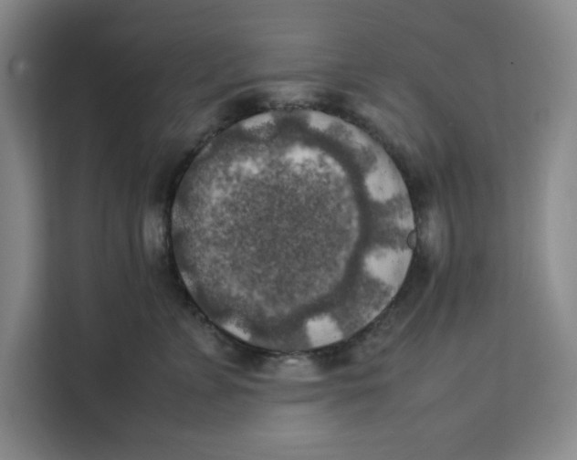 X0000111150715200907141341