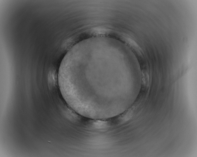 X0000111150718200907141341