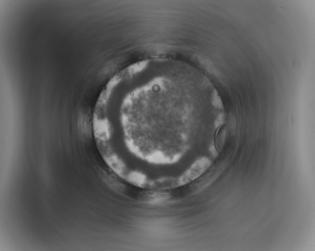 X0000111150719200907141341