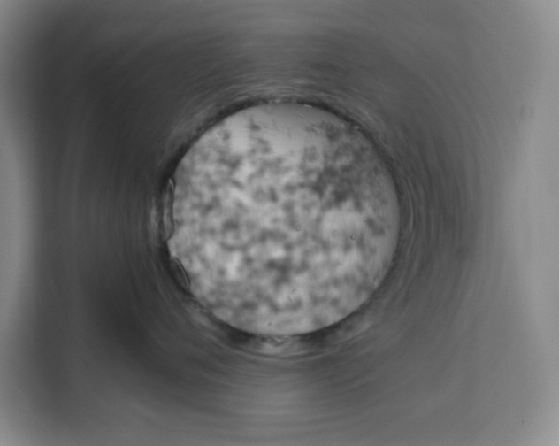 X0000111150720200907141341